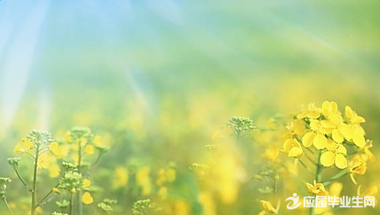 �������ɢ�ġ�����