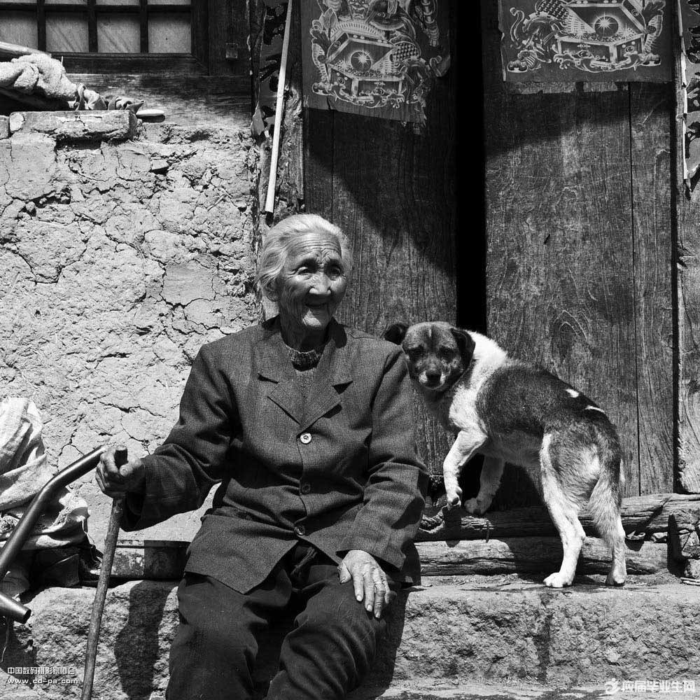 ���˵�����ɢ��