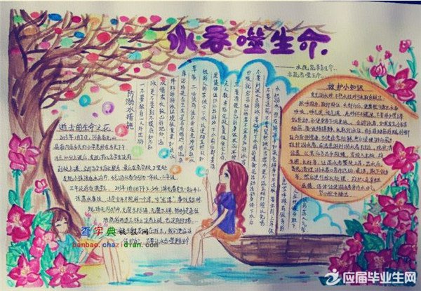 ���Ż�ֳ���