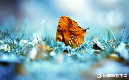 人生感悟的简短说说 人生感悟的简短说说