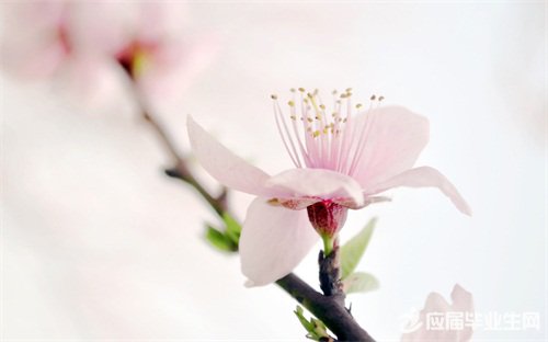 ����˵˵��ȫ