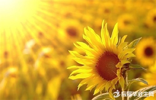 ����˵˵��ȫ