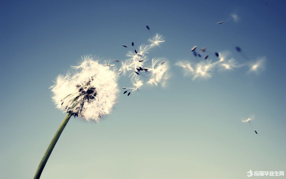 ¸Ð¶÷µÄÊ«¸èÀÊËÐ2·ÖÖÓ