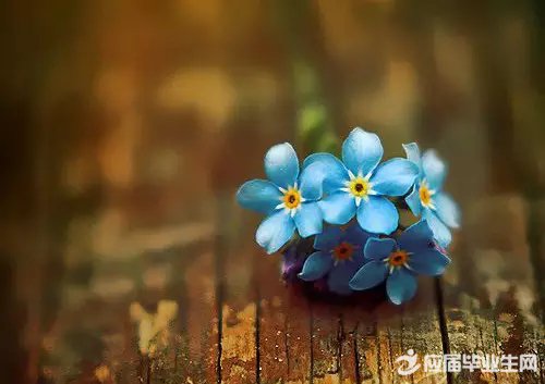 �ж��������ռ�