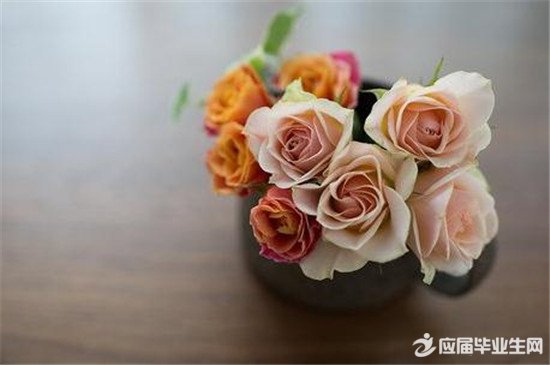 ����˵˵����ռ�ľ���