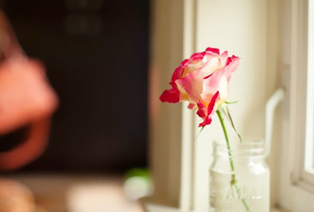 2017����־˵˵