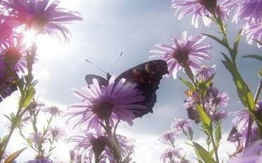 2017����־˵˵