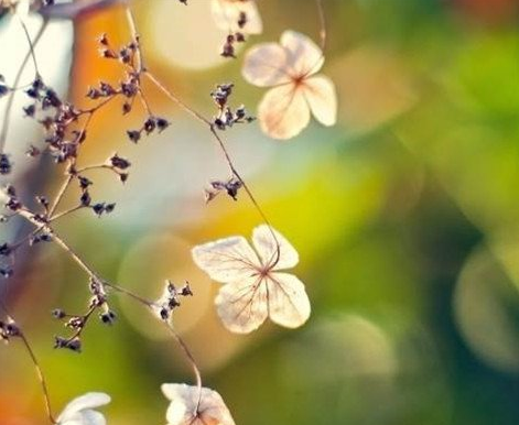 2017����־˵˵