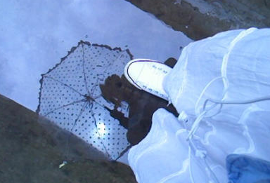 �ʺ������췢����Ȧ��˵˵��ͼƬ