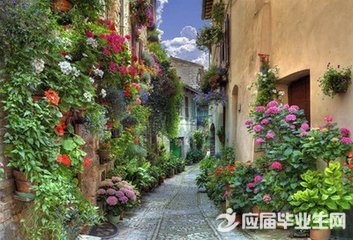 微信感悟人生个性签名