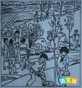 ֲ���������Ŀ�ͼ����