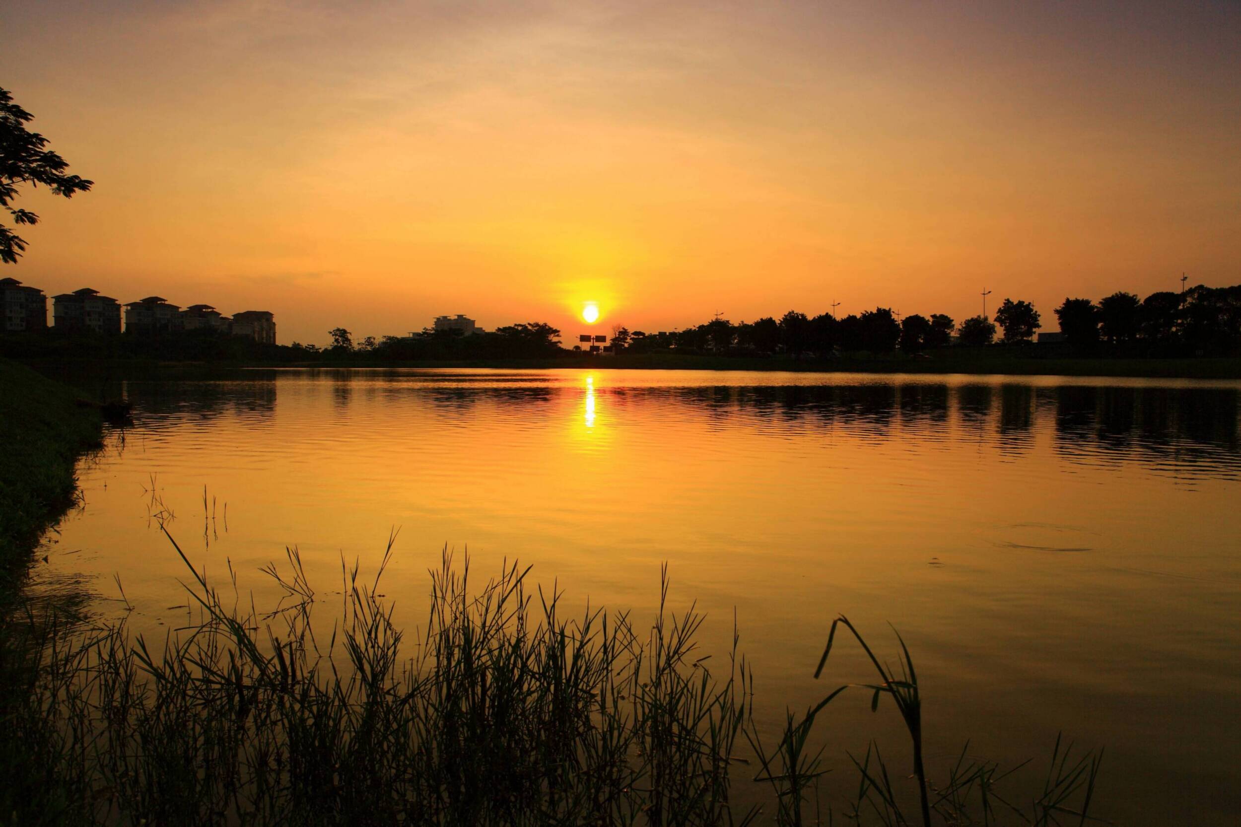 ɢ�ģ������ʱ��