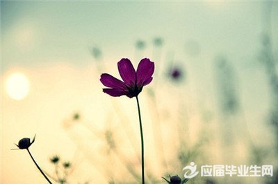 ��������������˵˵