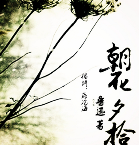 《朝花夕拾》读书笔记范文