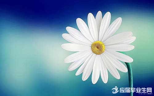 ������д����������˵˵