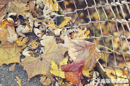 ����ľ���˵˵�����ȫ