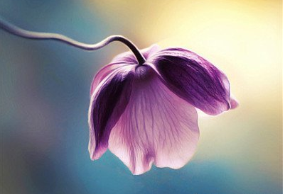 �˸и���˵˵2017