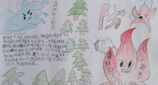 ɭ�ַ����ֳ�����ͯ��