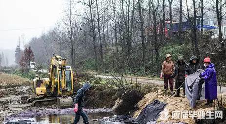 ��Ⱦ�������ֳ���