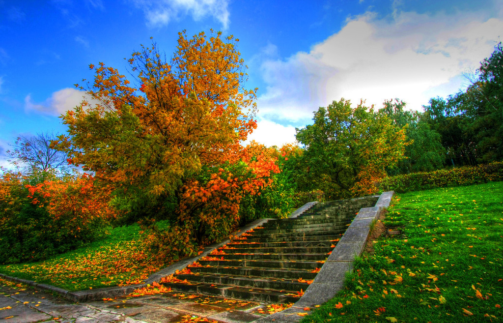 ����ɢ�ģ�����