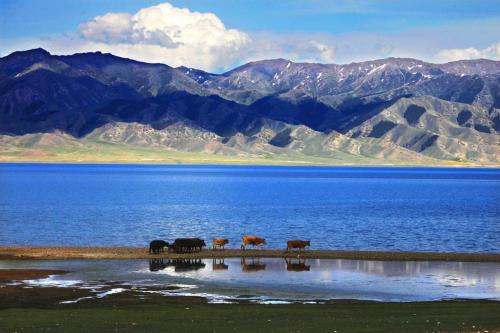 你什么都不做才会真的来不及的励志故事