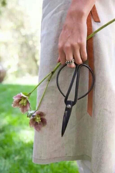 生活随笔:八月,微凉