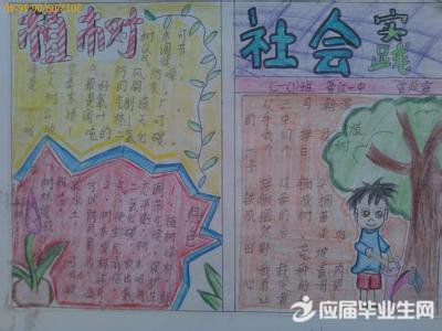 �Ͷ�ʵ���ֳ���