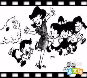 老鹰捉小鸡的看图作文