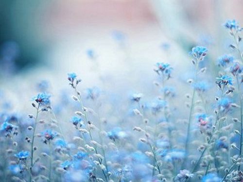 Ψ������˵˵����