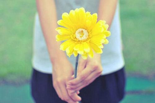 Ψ������˵˵����