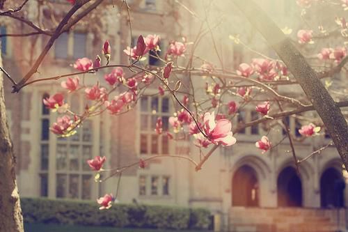 Ψ������˵˵����