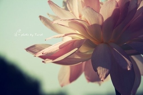 ����ɢ�ģ�����֮��