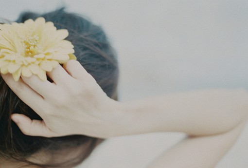 �й��ִ�ʫ��12��