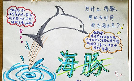 ��ϲ����С�����ֳ���