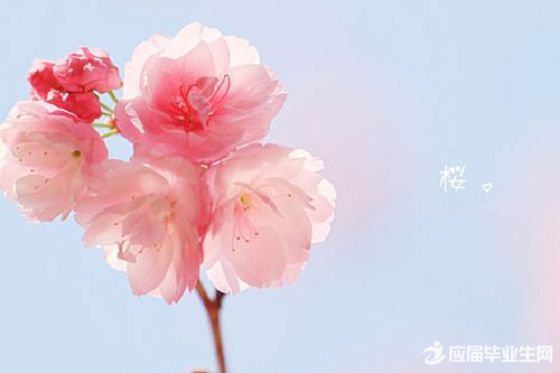 ��������������˵˵