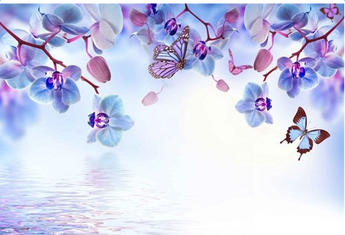 ��Ϧ��Ψ������˵˵