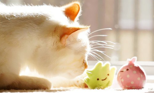 ��������˵˵�����ഺ