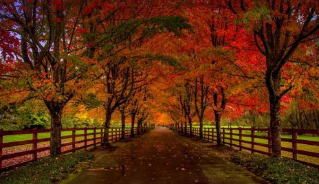 С������������Ҫӭ�Ѷ�����־����