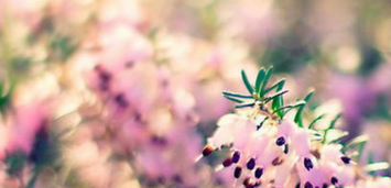 关于人生哲理的故事大全 关于人生哲理的故事大全