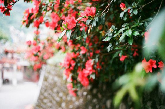 ������־����ǩ��