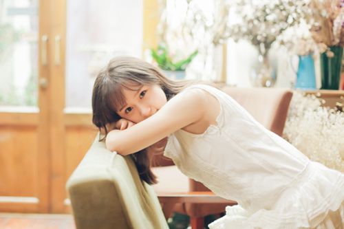 �˸������İ���˵˵����