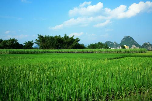 ���������������ӹ����ж�������������־����