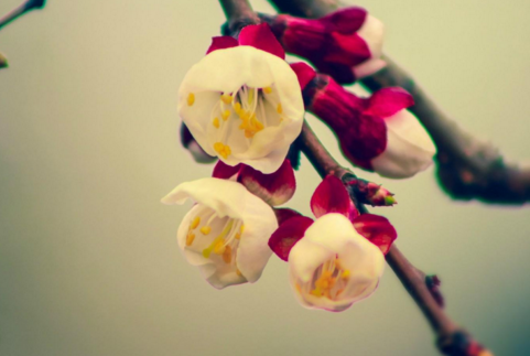 小学生励志故事 小学生励志故事