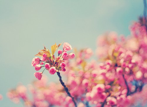 ��ʣ���һ���۹⿴����