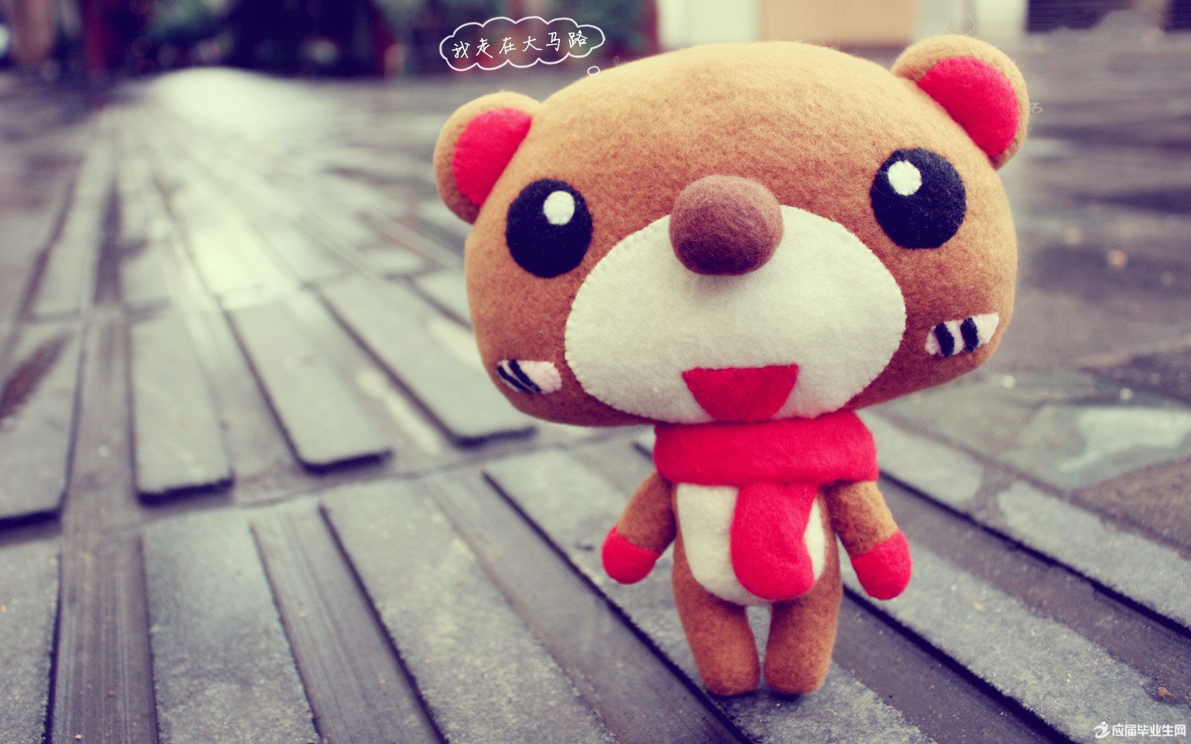 ������־����ǩ��