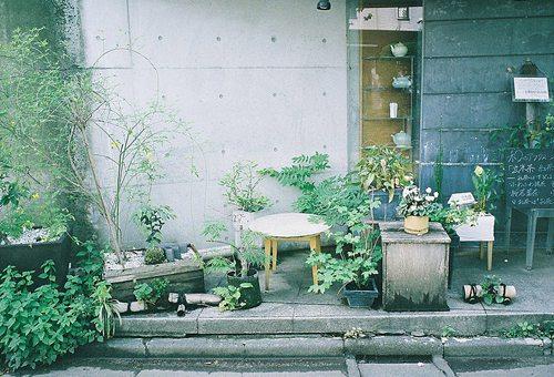 经典散文:仰望生命