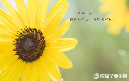 ��ĩ����˵˵��ѡ