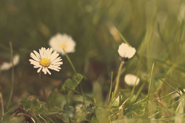 ���ֺ���˸�˵˵����