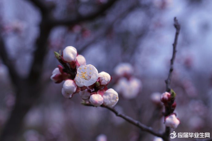 ��������д�����ɢ��