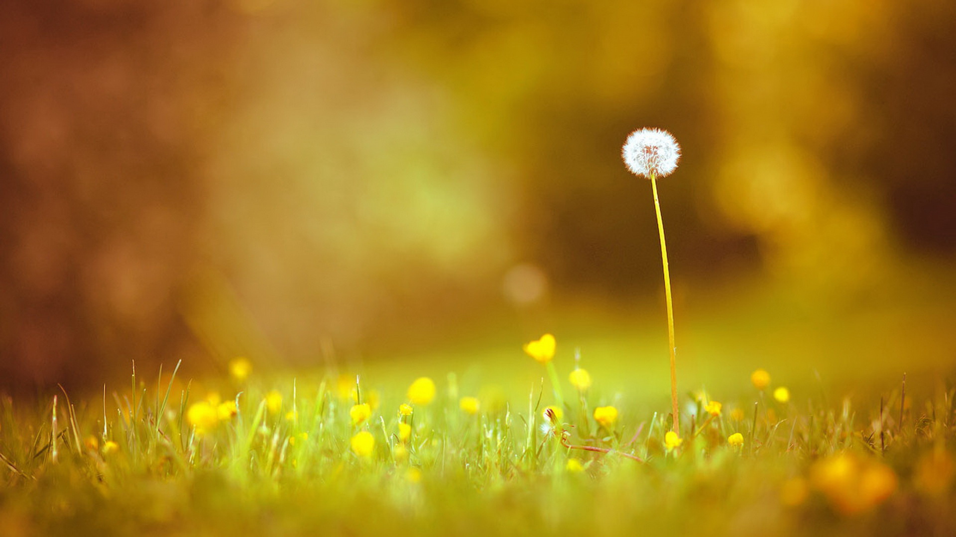 ���ھ���˵˵��������ȫ